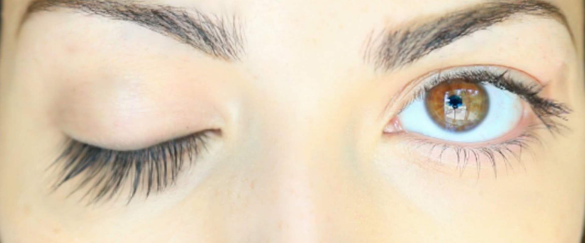 How much do eyelashes grow in a week?