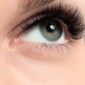 Are silk eyelashes vegan?