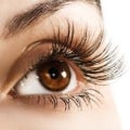 How many lash extensions should fall out?